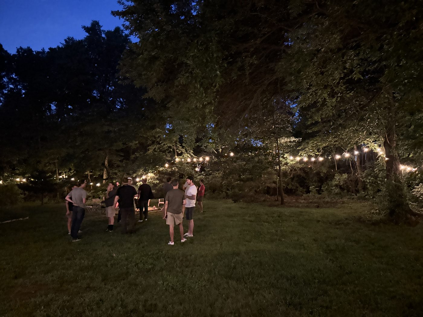 Men gathered on a lawn under string lights
